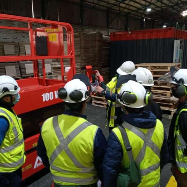 ALO Lift 100WS CONCEPCION FORESTAL 3