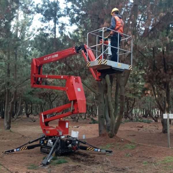 ALO Lift 17AJSPIDER FORESTALES PORT