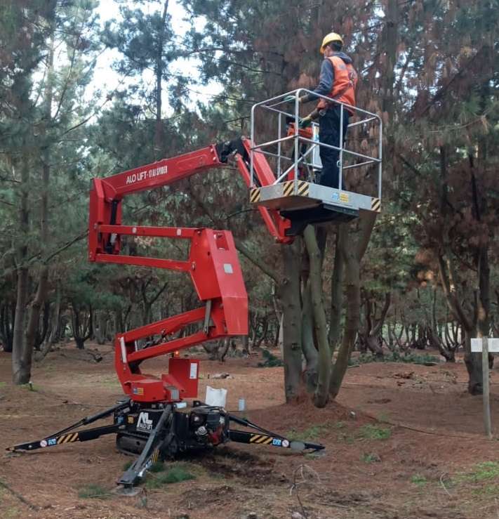 ALO Lift 17AJSPIDER FORESTALES PORT